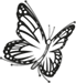 New Healing Festival 2023 Logo