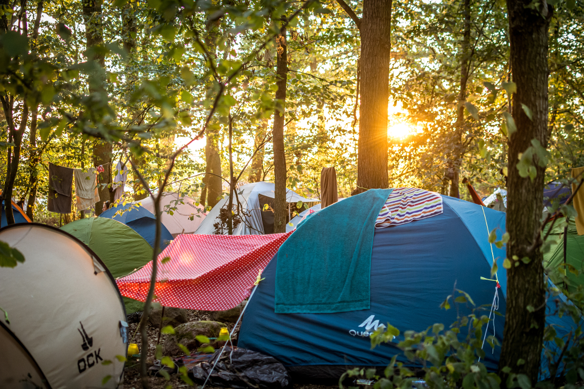 Camping-Zauberwald Im Hintergrund ist ein Sonnenuntergang. In einem kleinen Baumhain stehen ein paar Zelte.