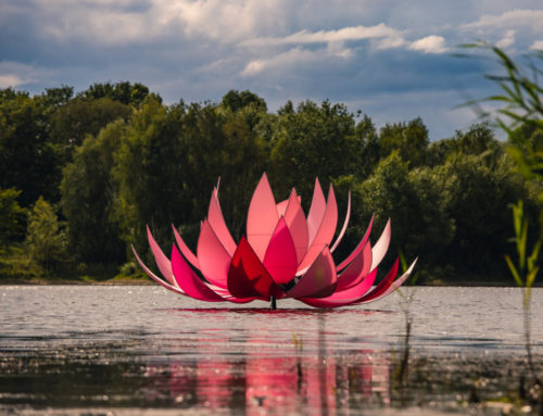 Neues vom Preddöhler See